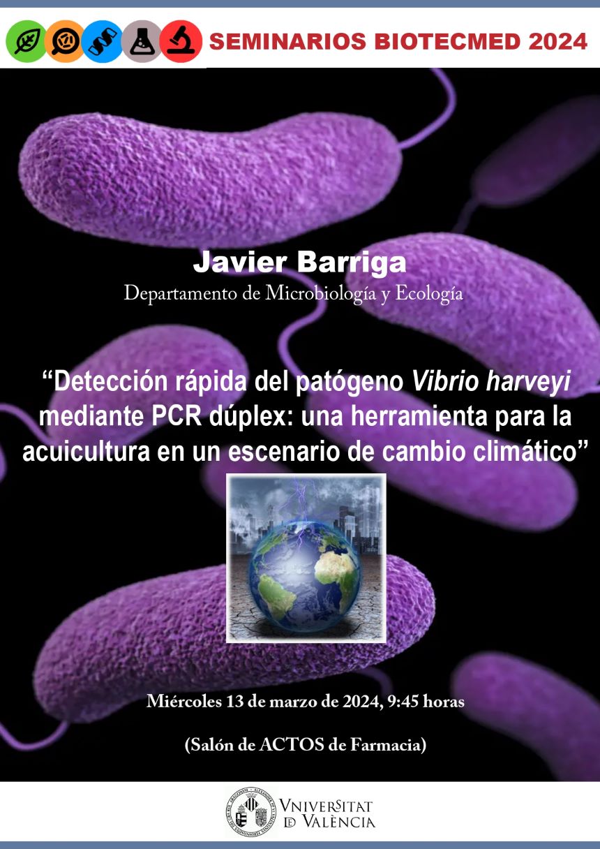 Image de la noticia